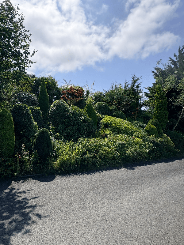 Ashdown Gardening in Banbridge