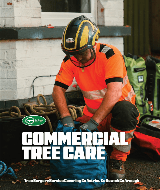 Dr Green Tree Care Ltd in Lisburn