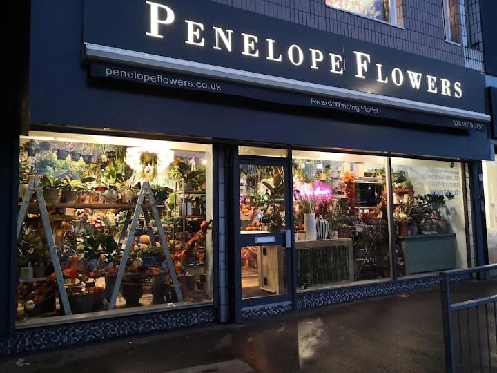 Penelope Flowers in Belfast City
