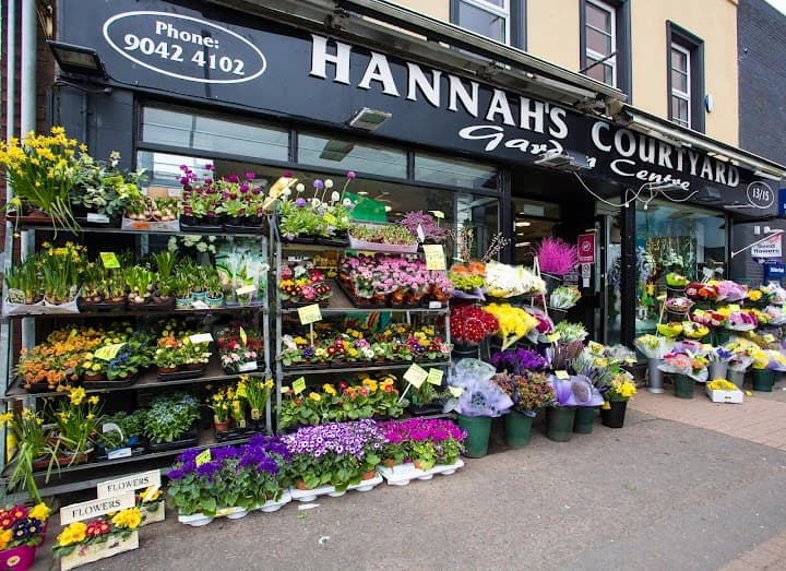 Hannah's Florist in Holywood