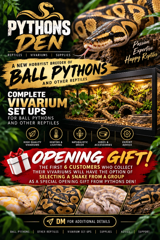 Python's Den in Bangor